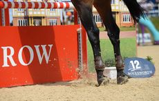 hind legs jumping