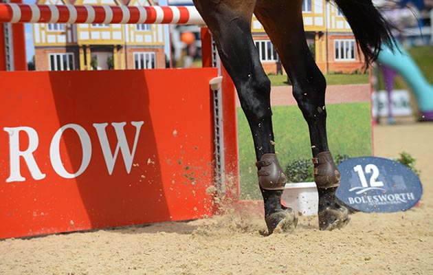 hind legs jumping