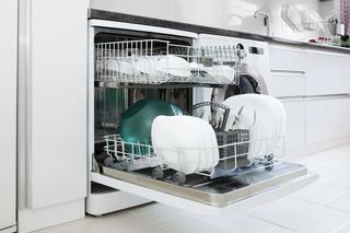 clean open dishwasher
