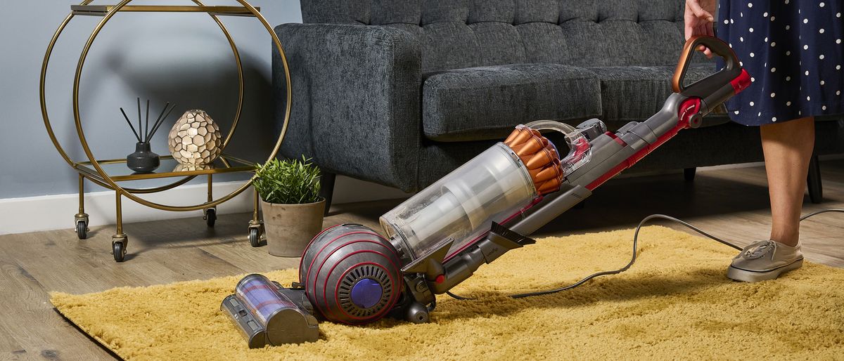 Dyson Ball Animal 3 vacuum cleaner