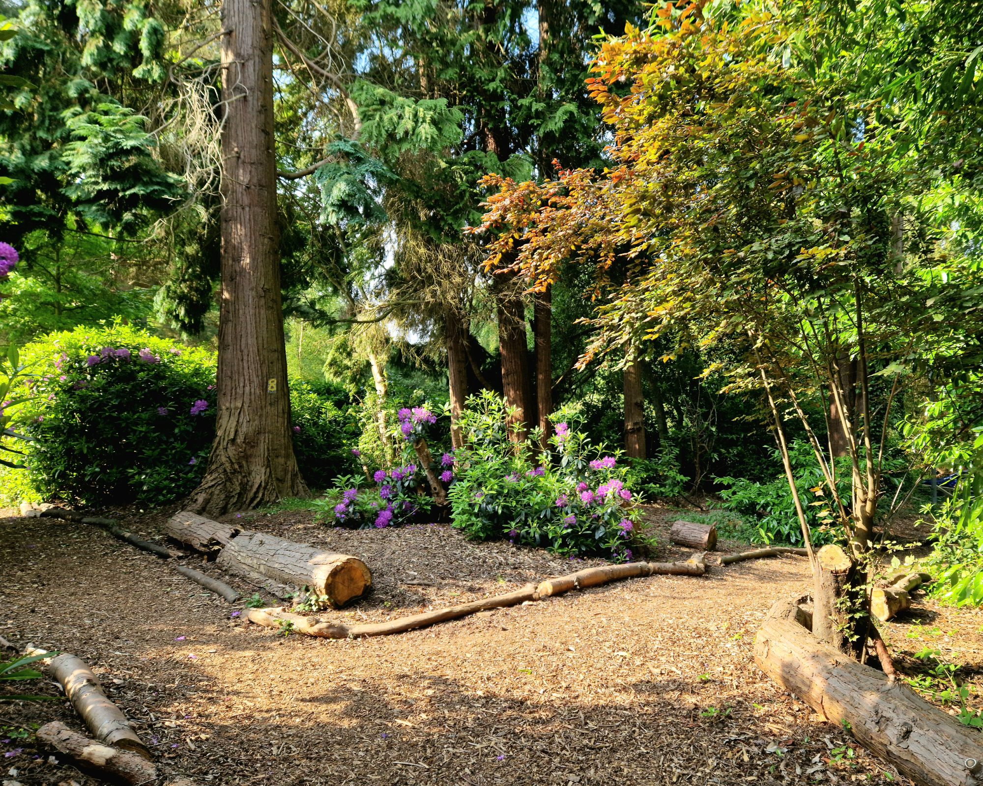 forest garden with log border