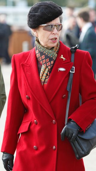 Princess Anne, The Princess Royal attends day 3, St Patrick's Day, of the Cheltenham Festival on March 17, 2016