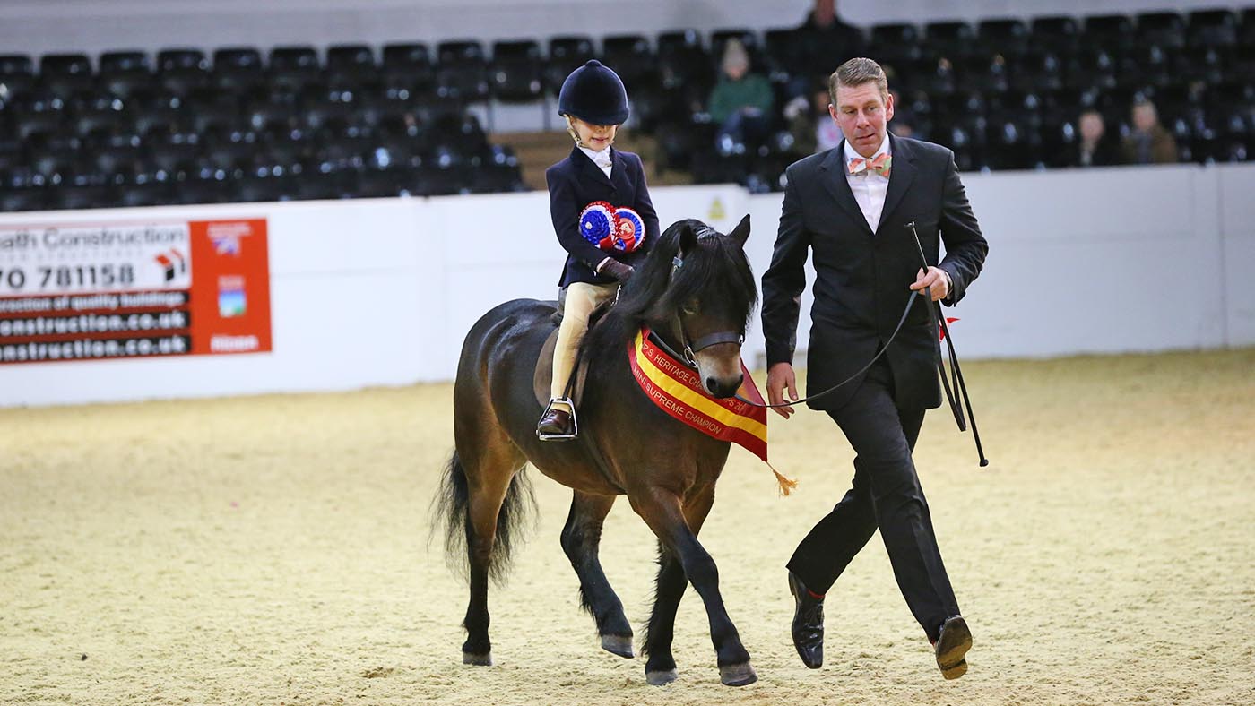 MINI SUPREME CHAMPIONSHIP CHAMPION 526 SPRINGWATER SADDLERS WELLS R CATE KERR H CRAIG ELENOR Class 43