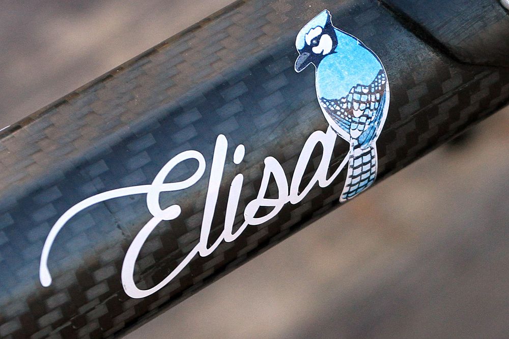 A beautiful blue bird painted on Elisa Longo Borghini's (Wiggle High5) Colnago C60