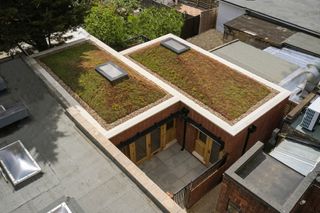 A bungalow with pyramid-shaped sedum roof covered in grass