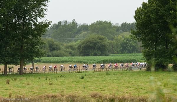 The peloton on stage three of the New Zealand Cycle Classic.