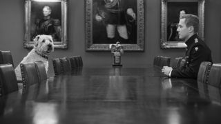 A cavalry soldier and their horse.