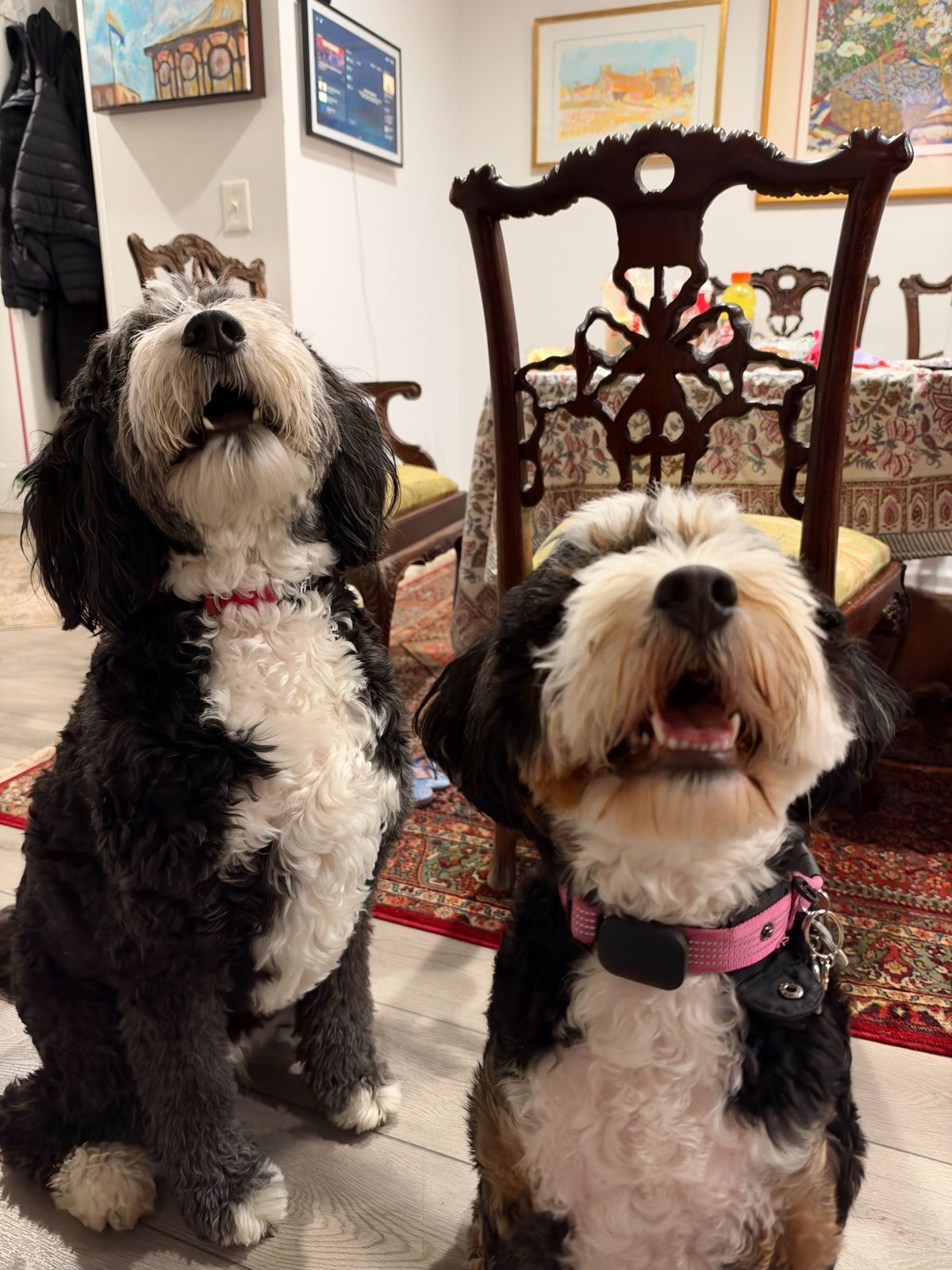 Apple iPhone 18 Pro and 18 Pro Max Camera Test