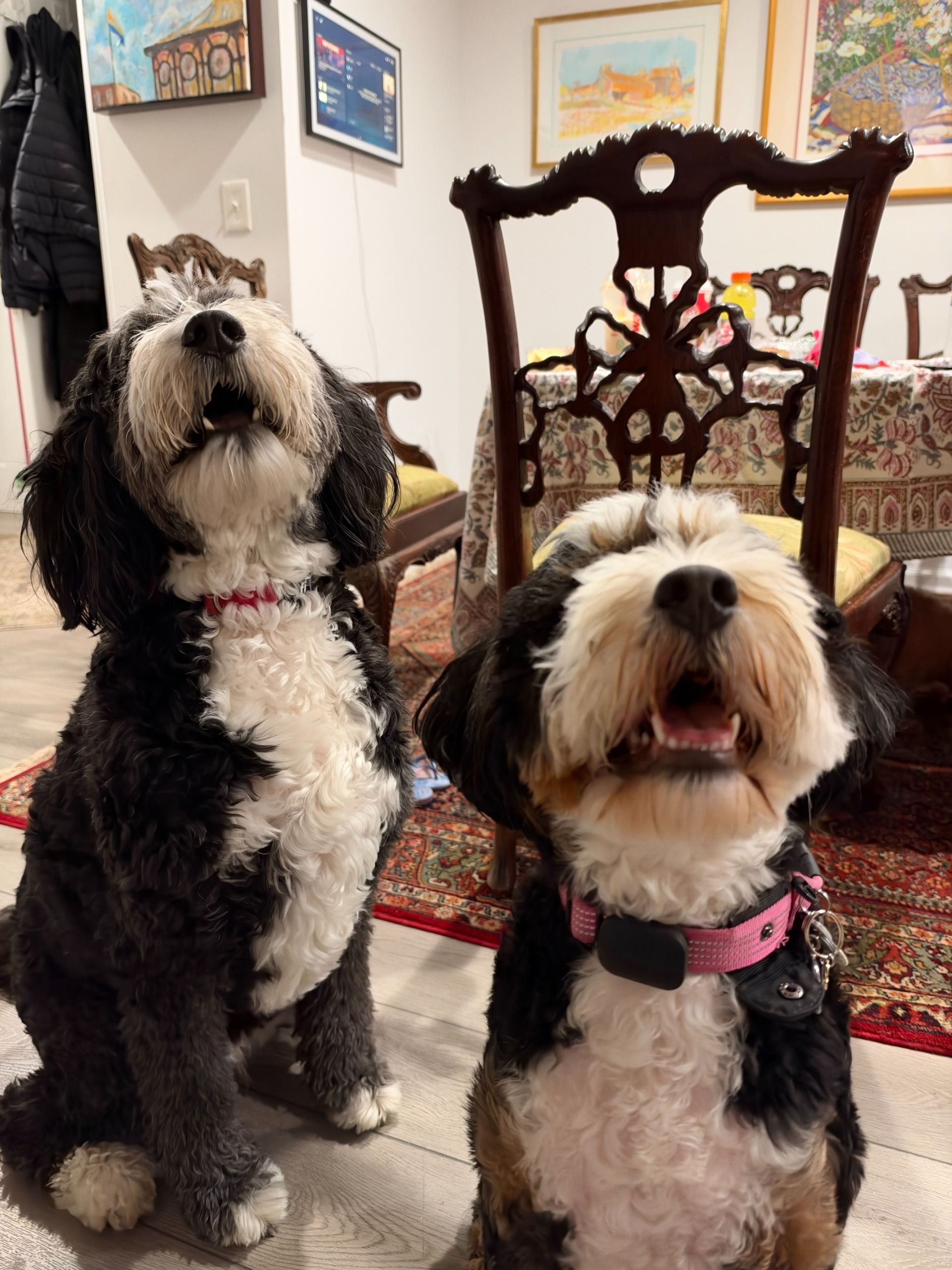 Apple iPhone 18 Pro and 18 Pro Max Camera Test