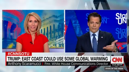 Fired White House communications director Anthony Scaramucci on CNN