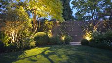 Urban garden with bushes, trees and trellis lit up at night with LED lights