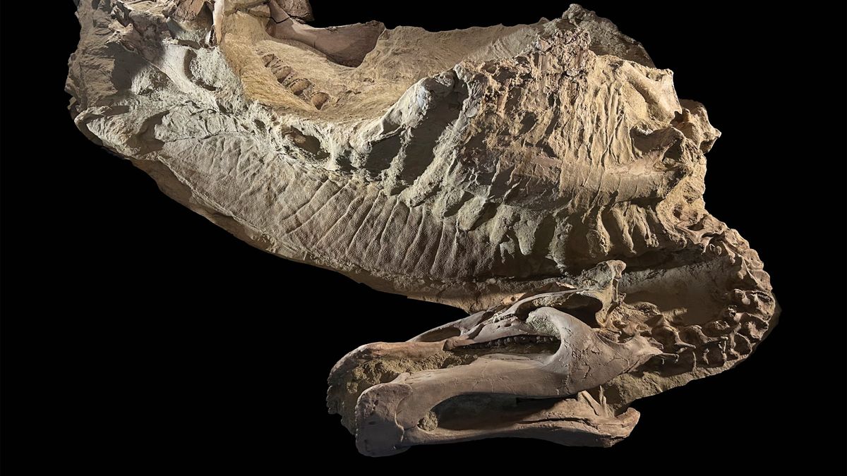 First-ever 'mummified' and hoofed dinosaur discovered in Wyoming badlands