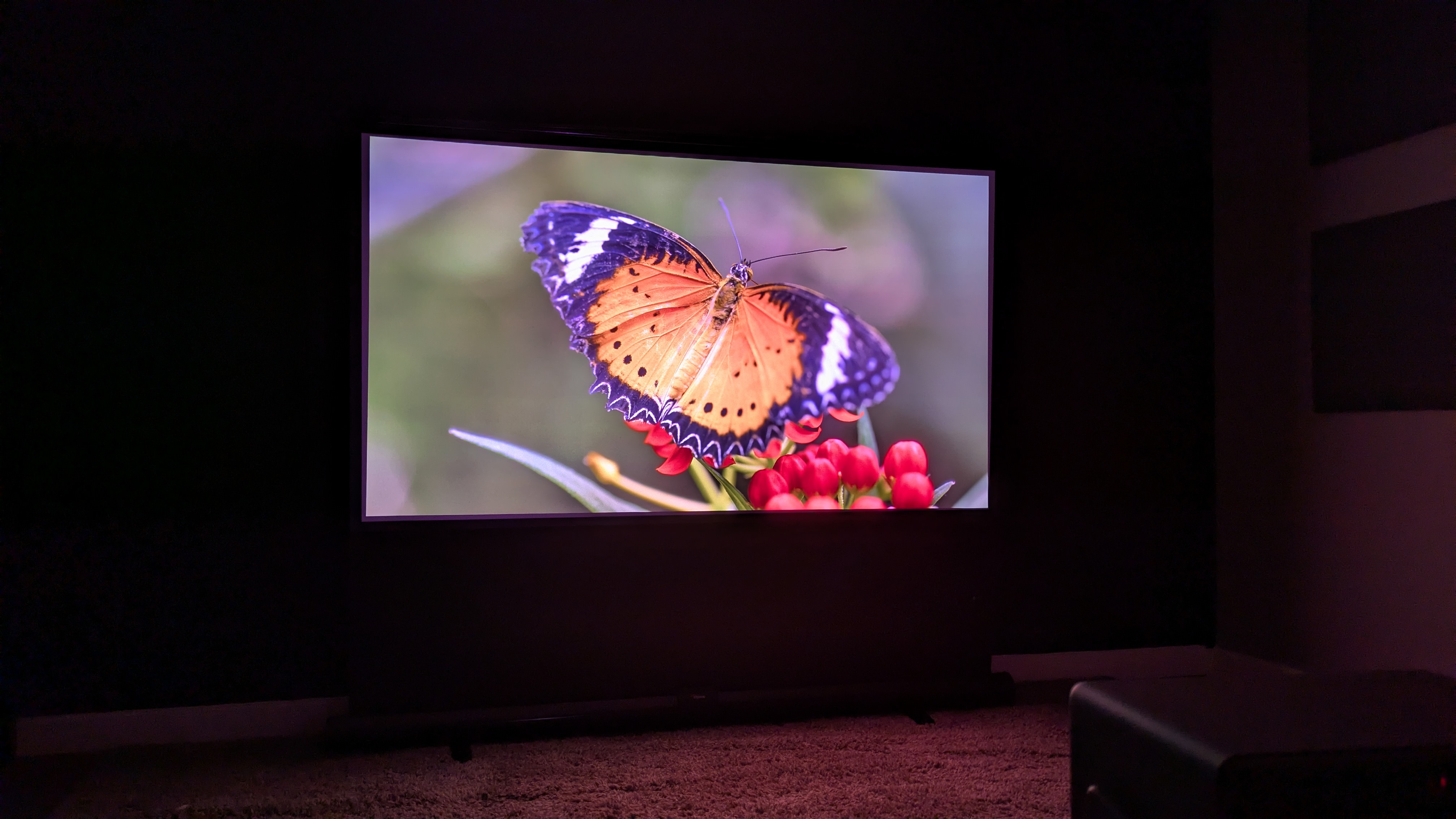 Xgimi Horizon 20 Max showing orange butterfly