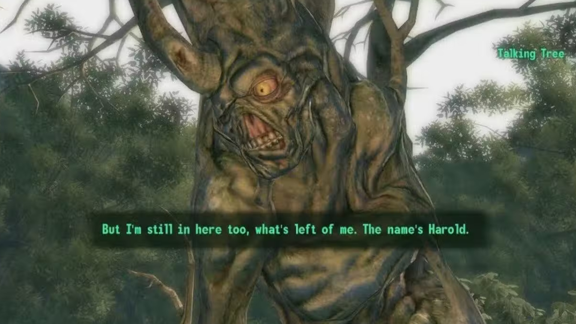 Harold talking to the player during Fallout 3
