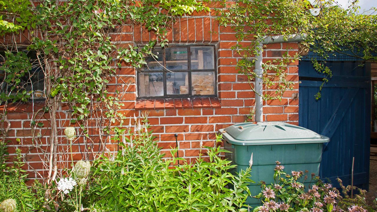 rainwater being collected in water butt