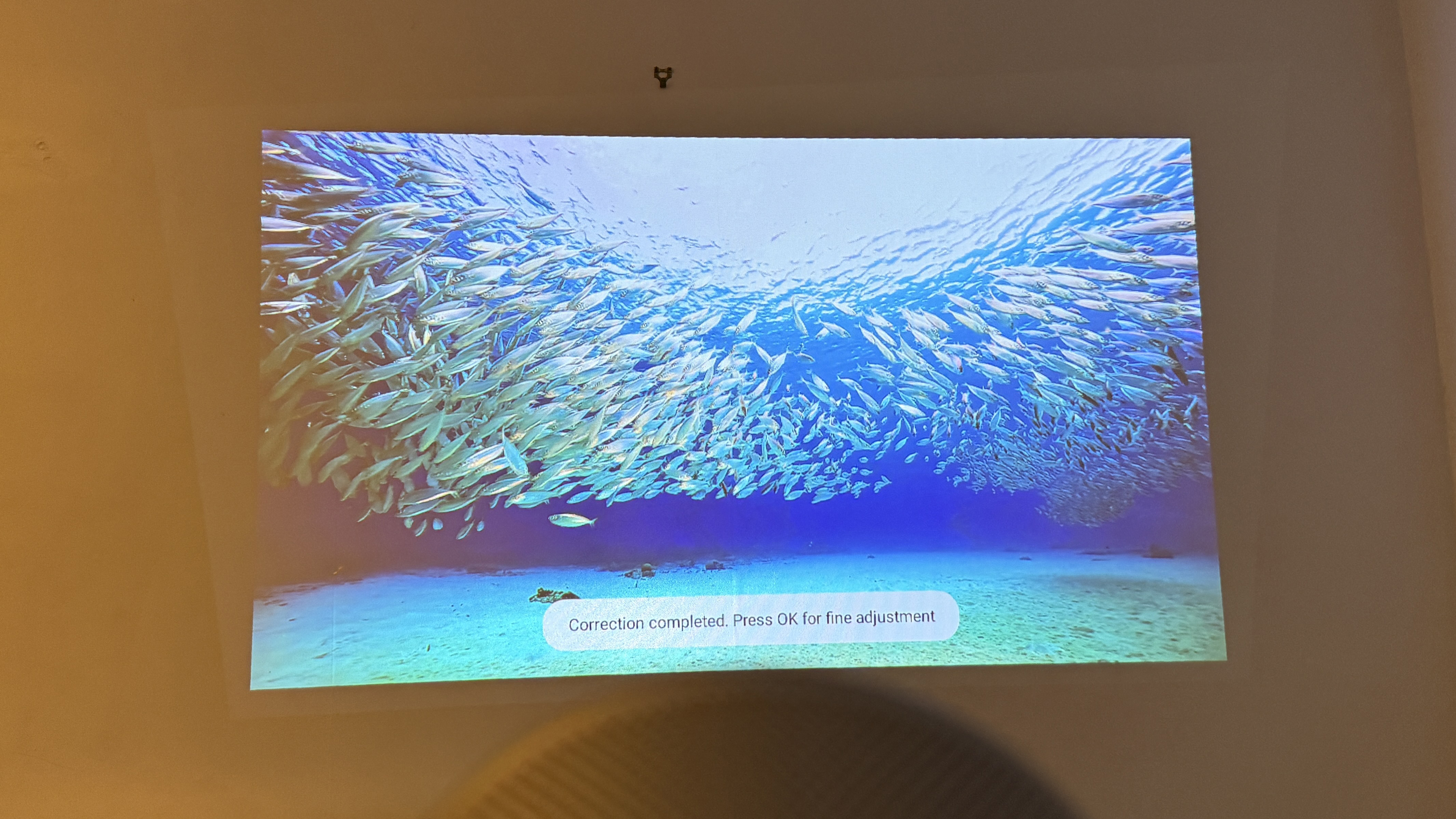 The XGIMI MoGo 4 portable projector showing an image of a fish shoal, with test saying that image correction has completed