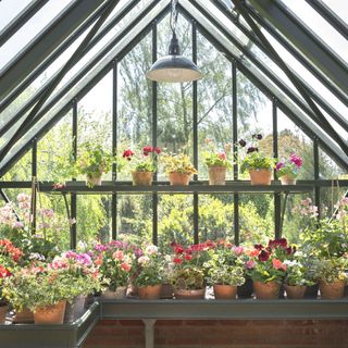 dark framed greenhouse with pots and light