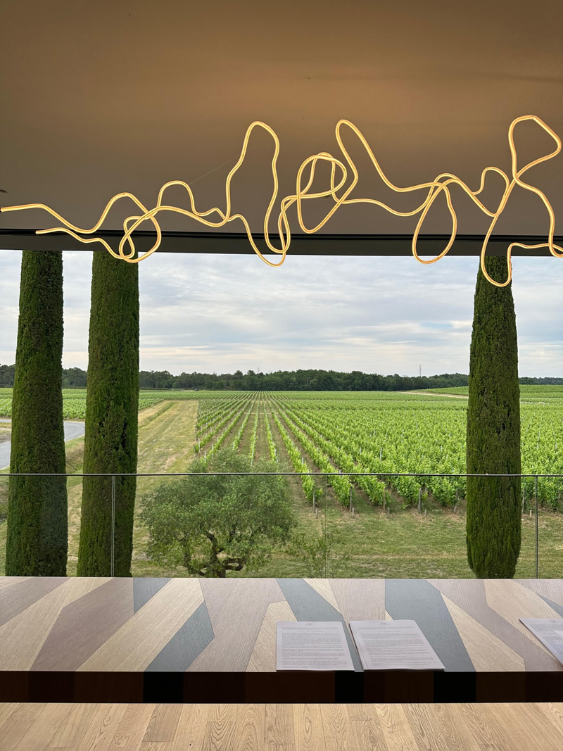 View from the new tasting room