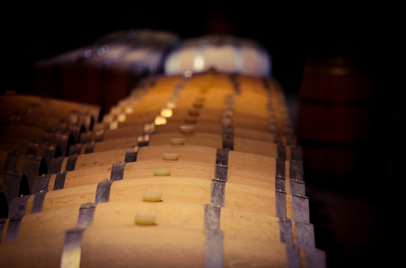 bordeaux wine barrels in the cellar