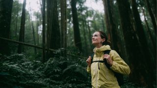 Woman walking across forest looking up at tall trees in foggy weather