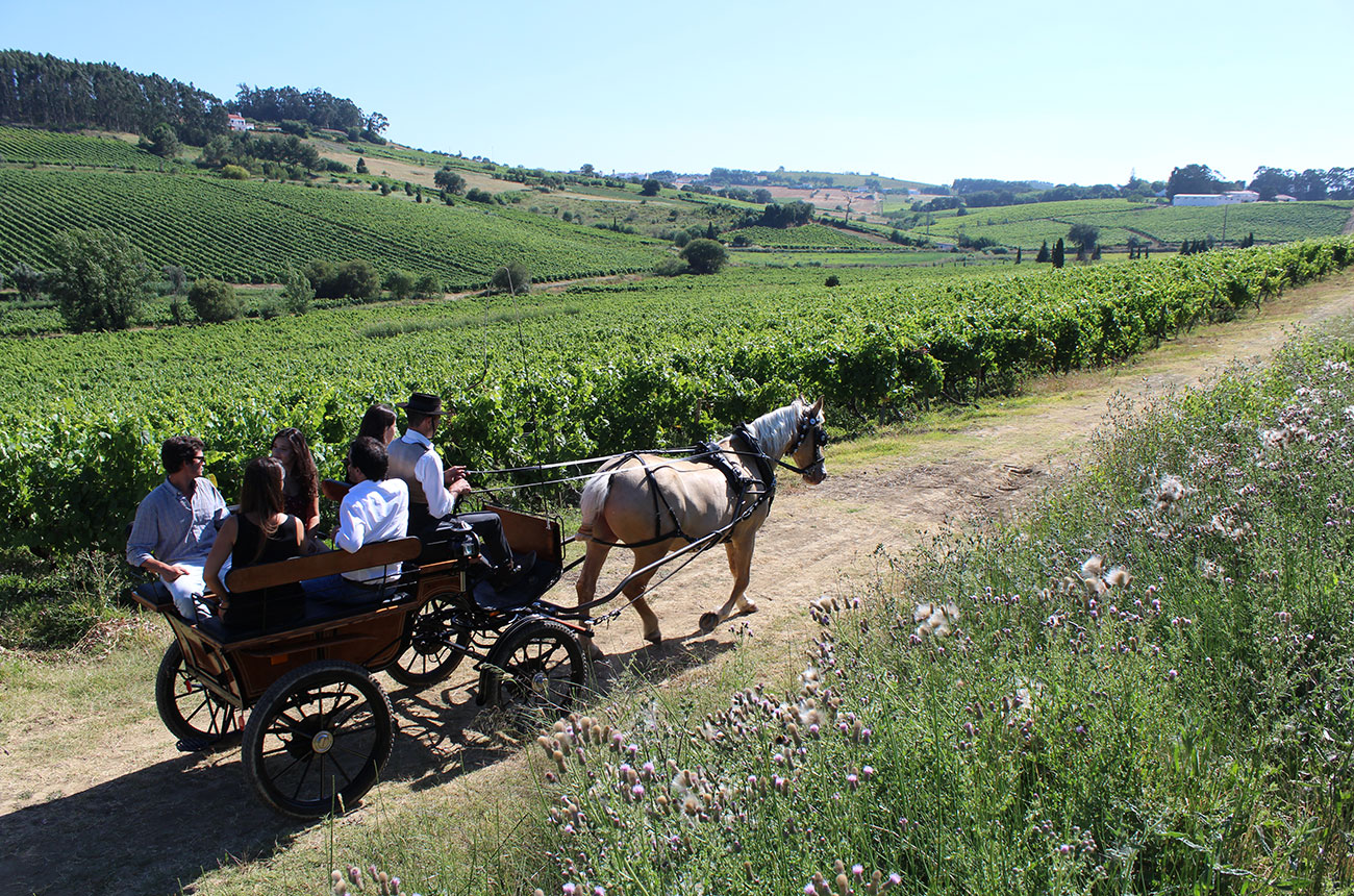 Majestic launches 'vintern' scheme