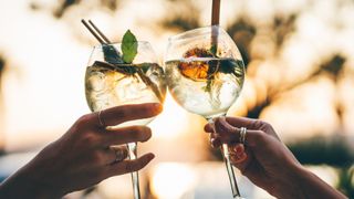 Glasses of gin and tonic in a bowl glass with a straw