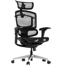 FlexiSpot ErgoX Pro FlexiSpot ErgoX Pro