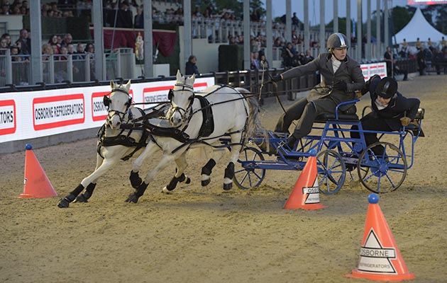 Fast and furious: the double harness scurry challenge in action