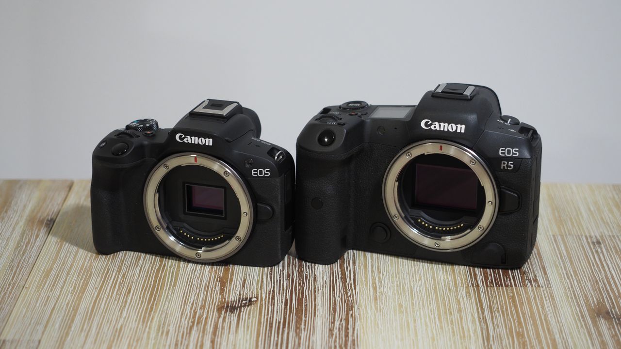 Canon EOS R50 next to Canon EOS R5