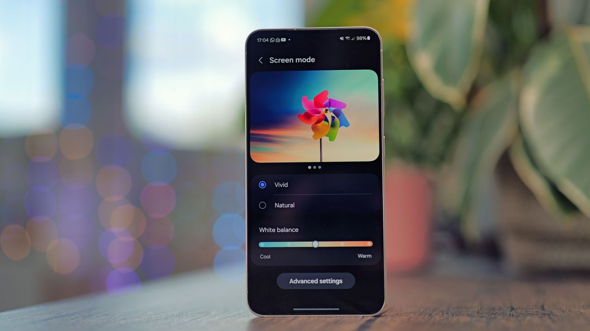 Samsung Galaxy S24 phone showing the screen color settings