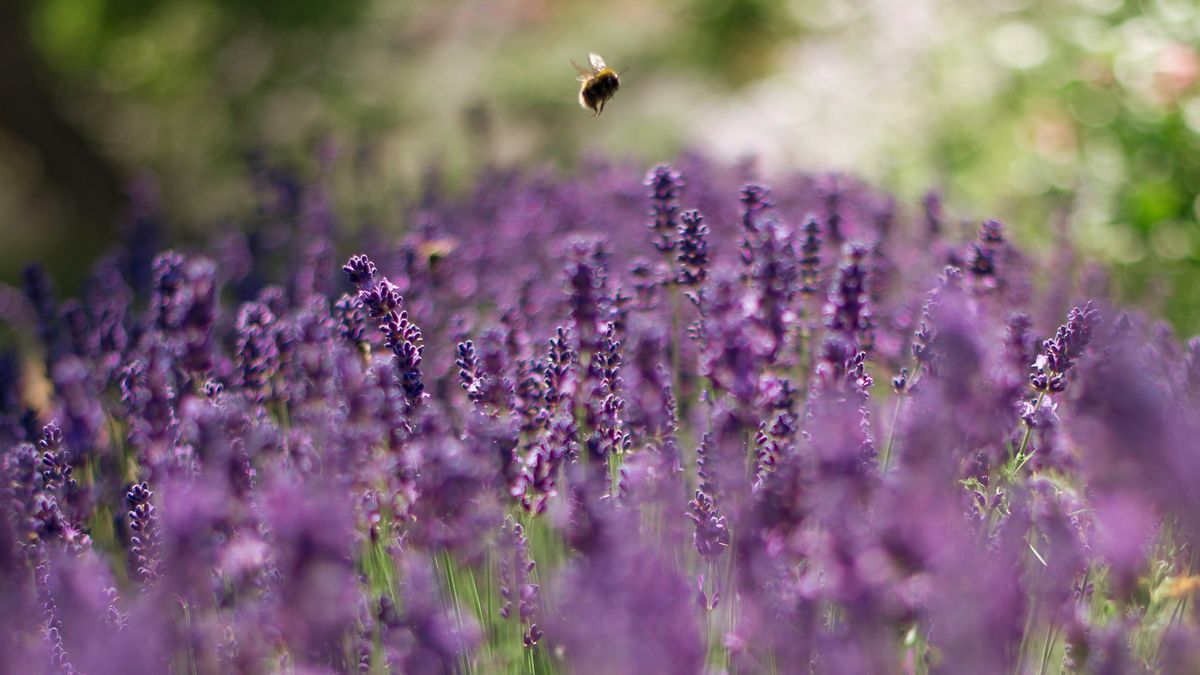 Outdoor photography