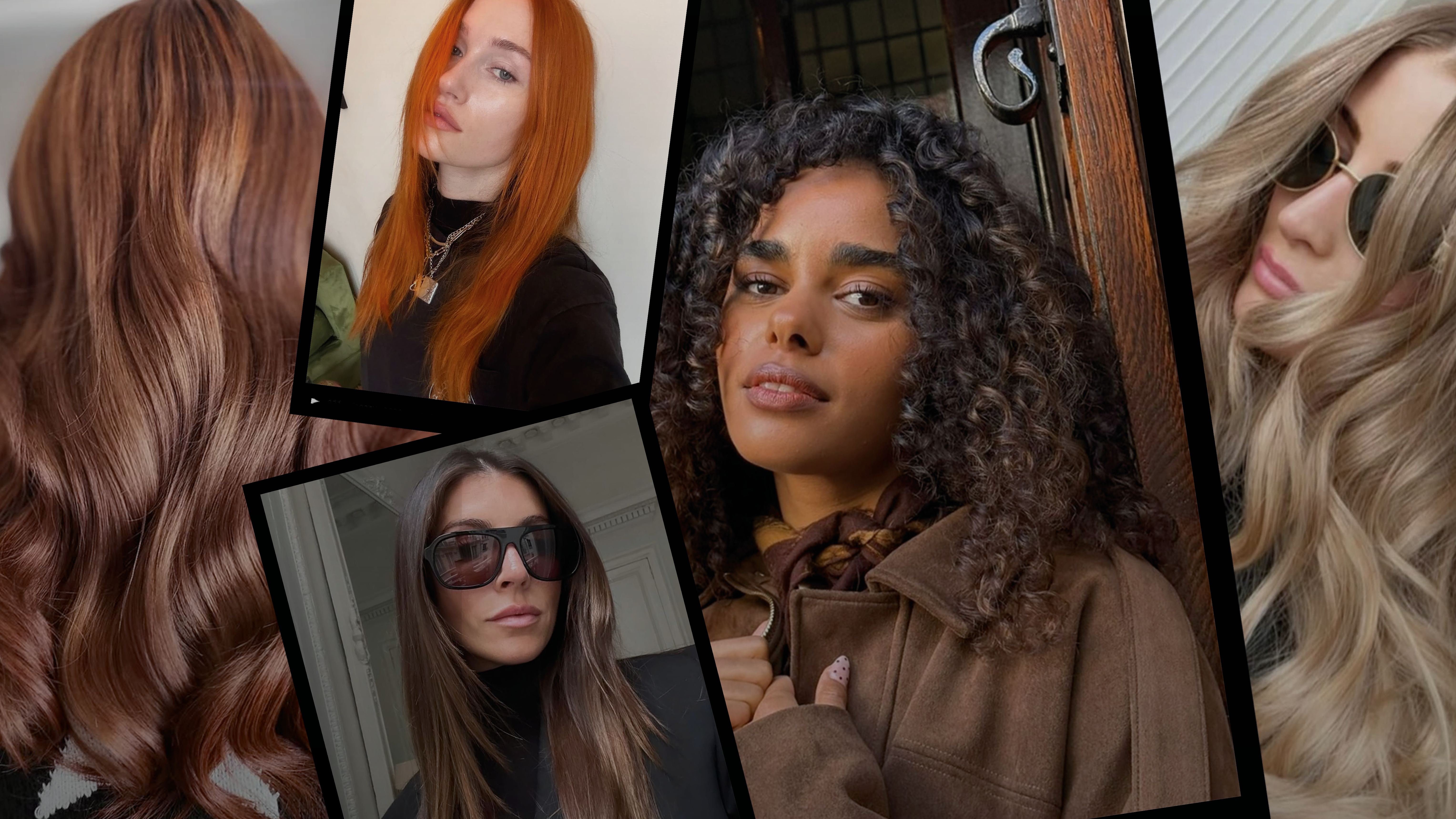 Hair Colour Trends