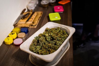Washington made $600,000 auctioning off 300 pounds of marijuana