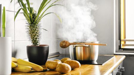 Steaming pan on induction cooktop