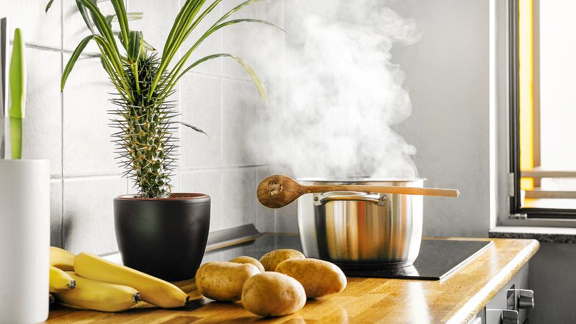 Steaming pan on induction cooktop