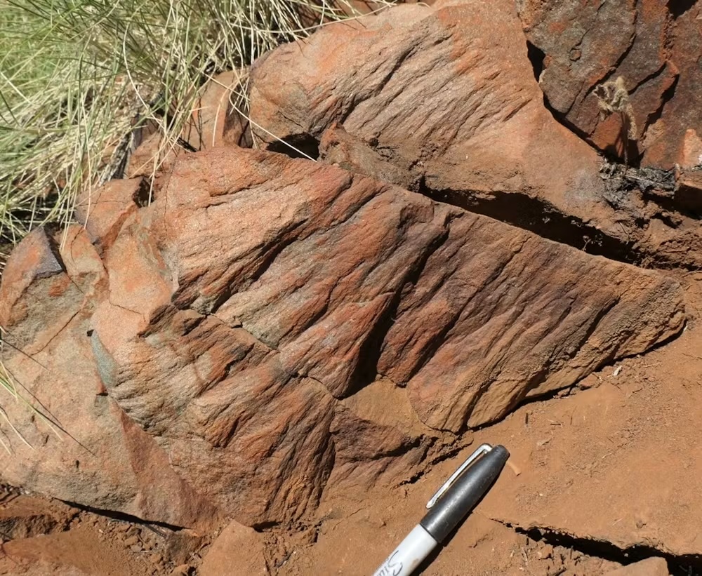 a close-up of rocks with cone-shaped formations