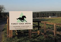forest-edge.JPG