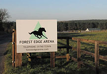forest-edge.JPG