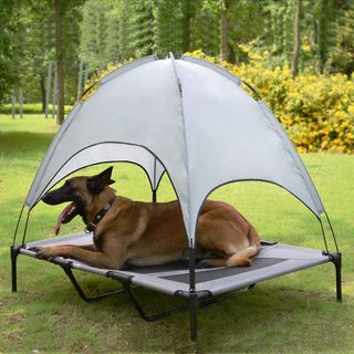 National Dog Day canopy idea