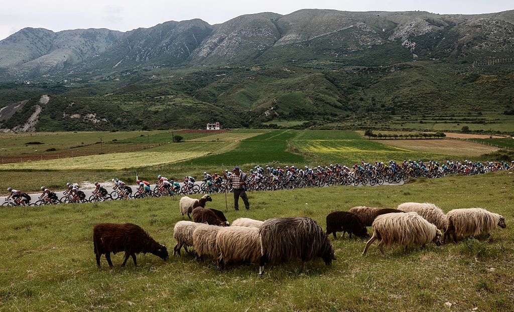 The pack rides past a shepeard and his herd during the 3rd stage of the 108th Giro d'Italia cycling race, 160km from Vlore to Vlore in Albania, on May 11, 2025. (Photo by Luca Bettini / AFP)