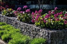 Gabion wall used in a garden