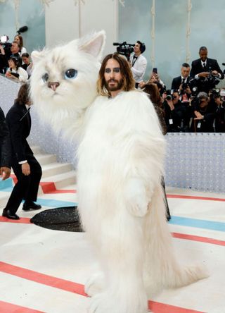 Jared Leto, dressed as Karl Lagerfeld's cat Choupette, attends The 2023 Met Gala Celebrating "Karl Lagerfeld: A Line Of Beauty" at The Metropolitan Museum of Art