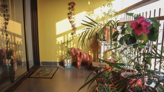 Potted plants on a balcony in front of yellow wall and elephant statue