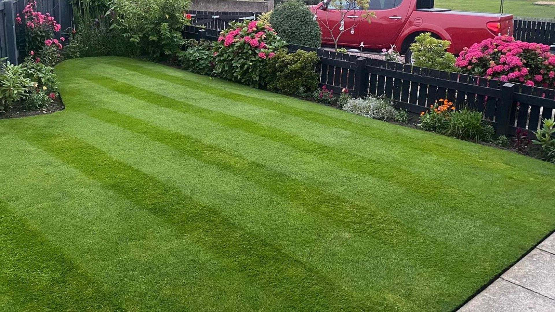 Freshly mowed lawn with stripes