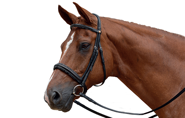 ALBION KB Super Snaffle Patent Padded Browband Patent Padded Cavesson Noseband 30mm Nubuck Reins Black