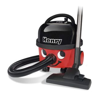 Henry being used in house on carpet