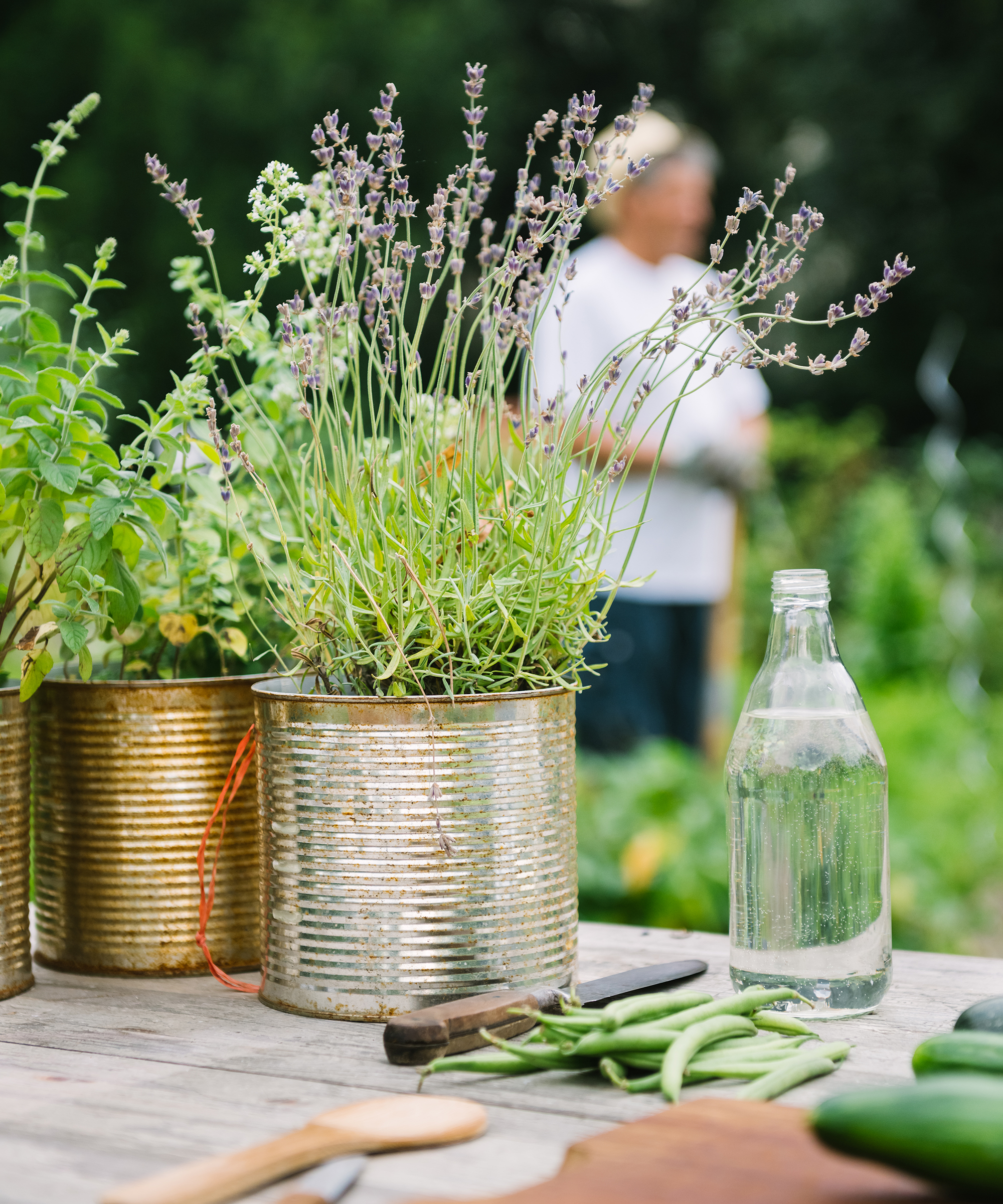 Herbs planted in upcycled tin cans on garden table