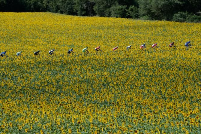 The peloton in the landscapes of Languedoc-Roussillon