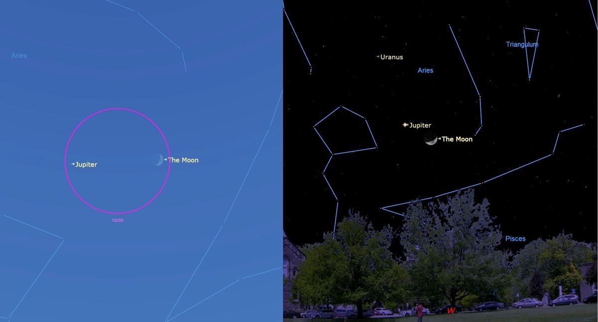 a split image — on the left, completely light blue, with a red outline encircling jupiter and the moon. On the right, some trees sit beneath a black starry sky, with blue-outlined constellations and jupiter and the moon.