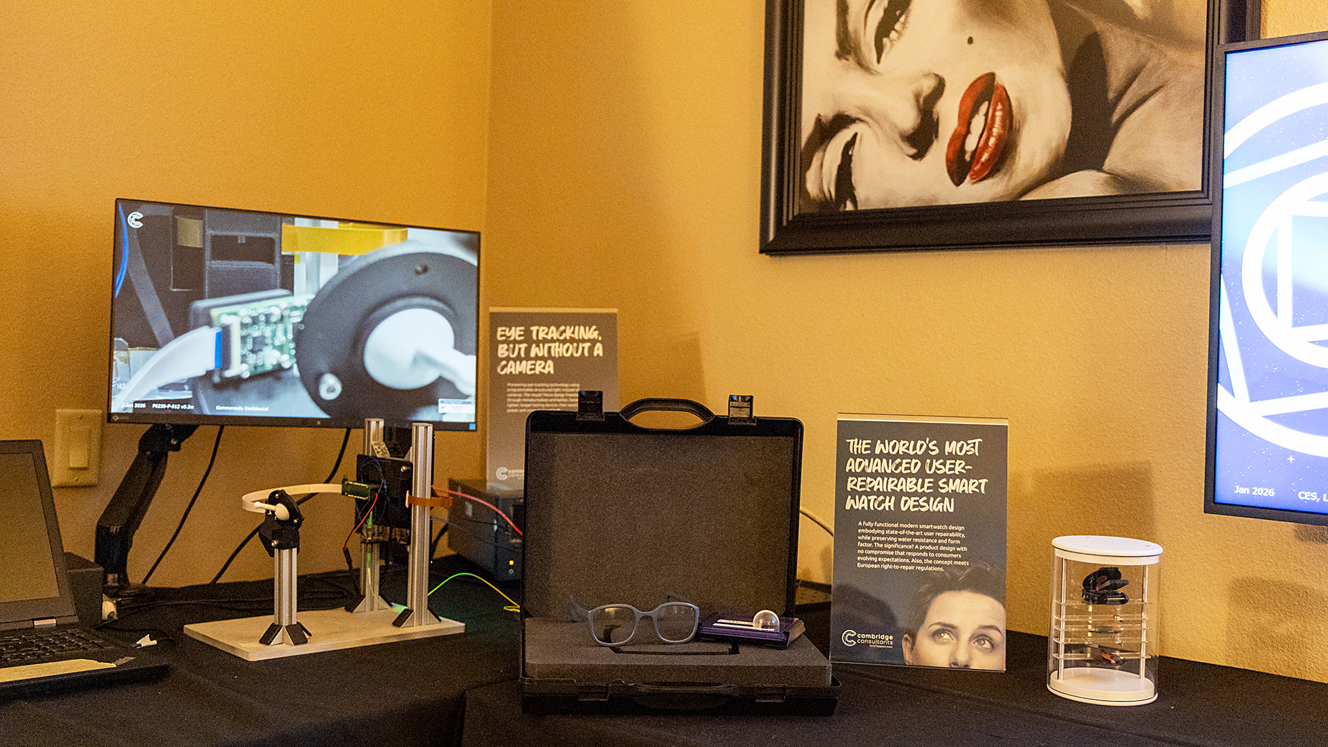 Cambridge Consultants